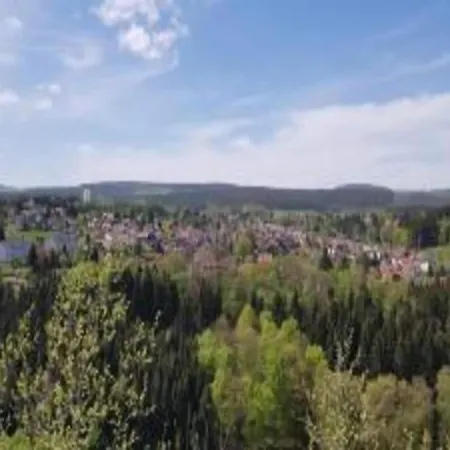Flat In Ernstroda Near A